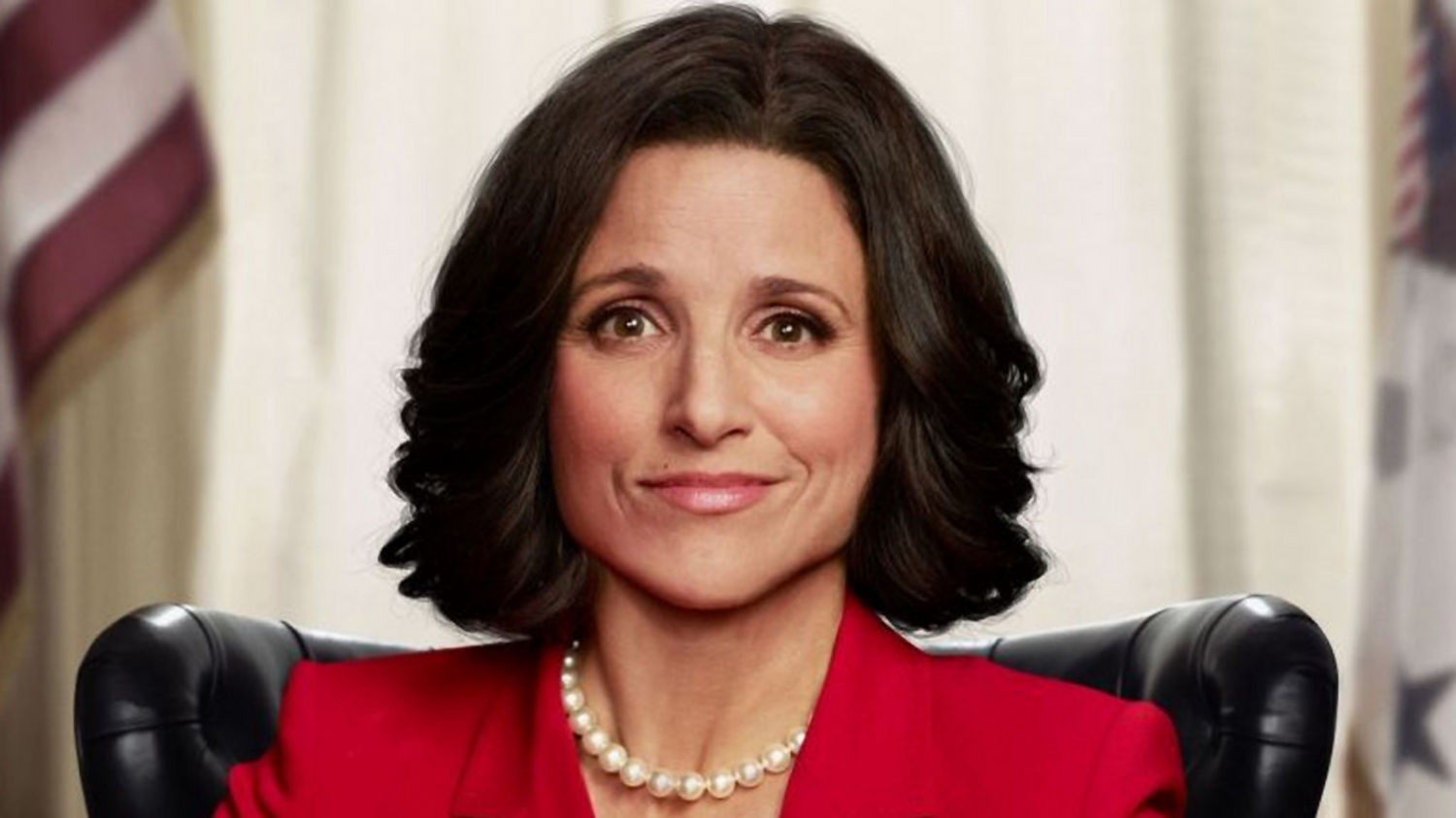 Julia Louis-Dreyfus Veep