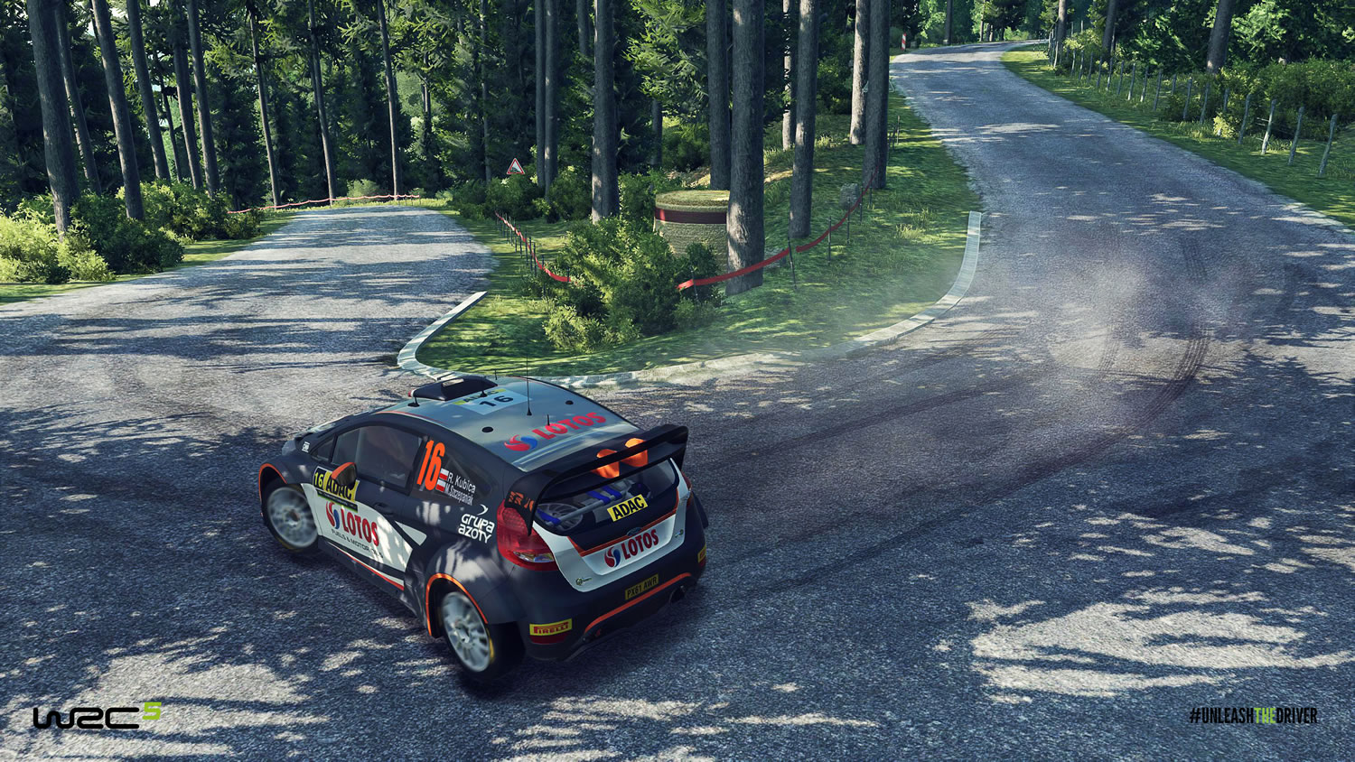 WRC 5 game