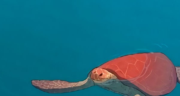 The Red Turtle