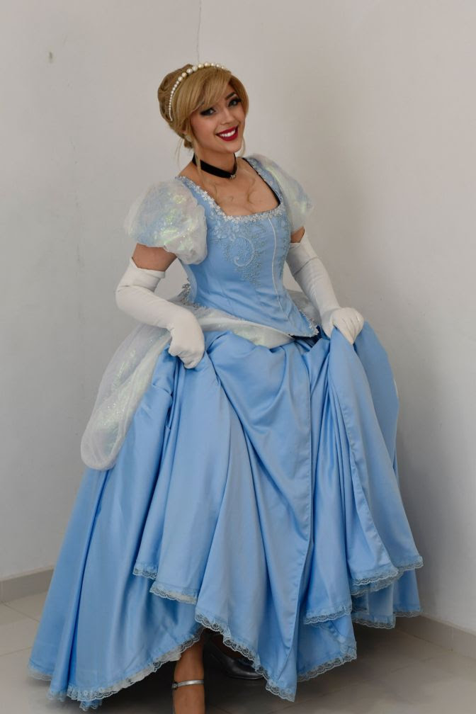 Adri 30 anos Itajaí - SC Cinderella Cinderella (Animação - Disney)